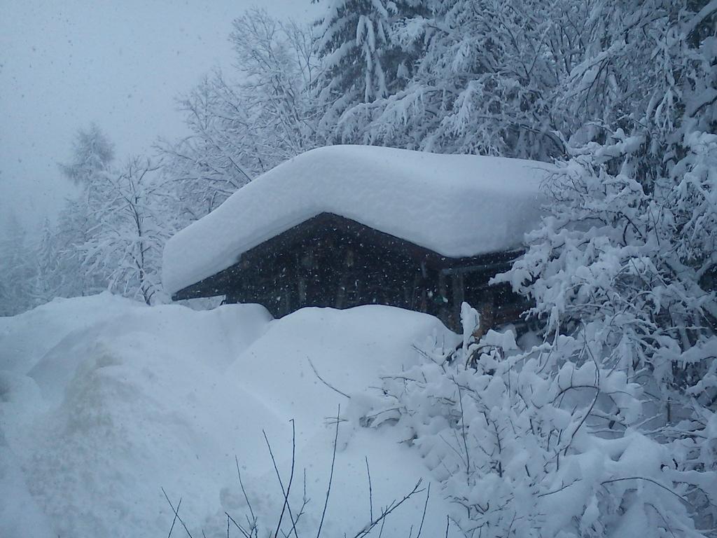 Ferienwohnung Waldhaus Sankt Martin am Tennengebirge Exterior foto