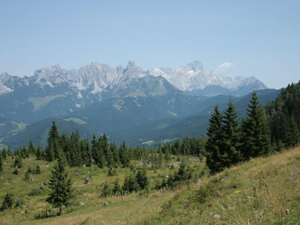 Ferienwohnung Waldhaus Sankt Martin am Tennengebirge Exterior foto