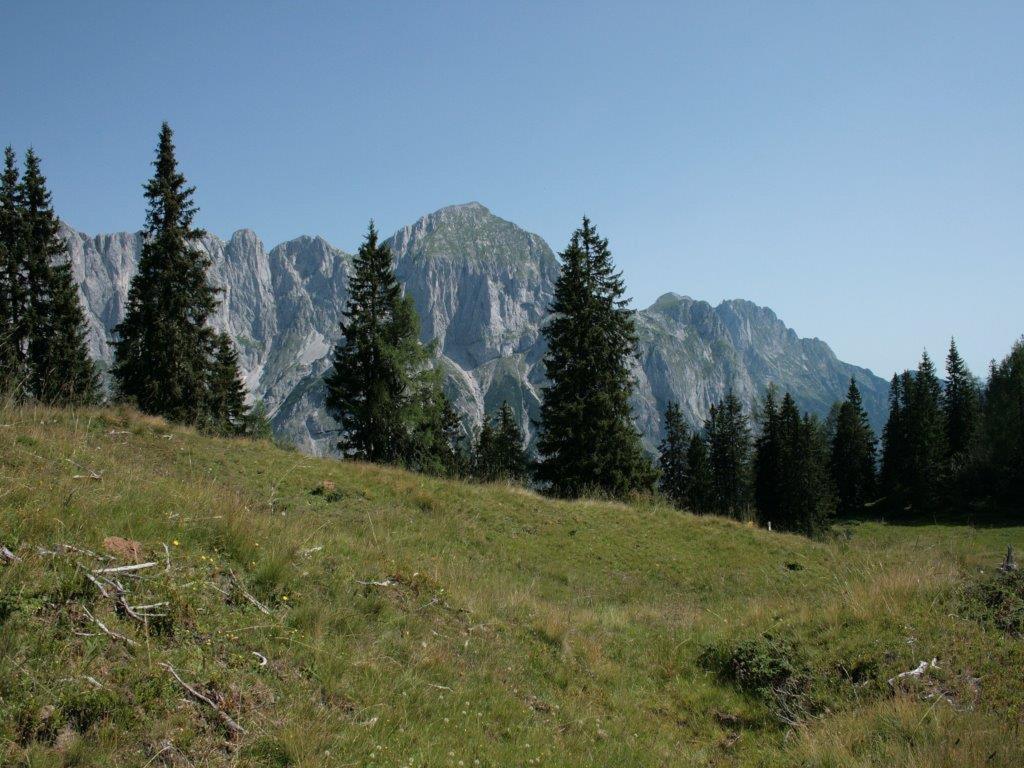 Ferienwohnung Waldhaus Sankt Martin am Tennengebirge Exterior foto